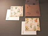 Picture book Style memo note paper set with case / Wild Flower