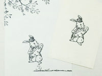 Sirusu Rubber Stamp / Bunny Postman