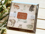 Picture book Style memo note paper set with case / Forest Animals