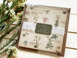 Picture book Style memo note paper set with case / Alpine Plants